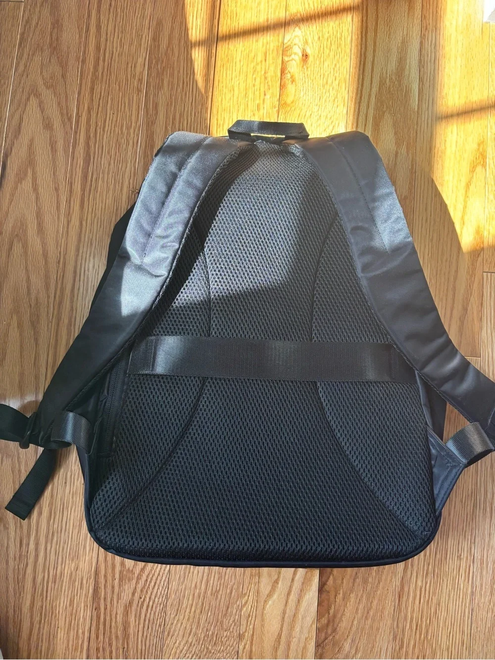 Light Flight Laptop Backpack